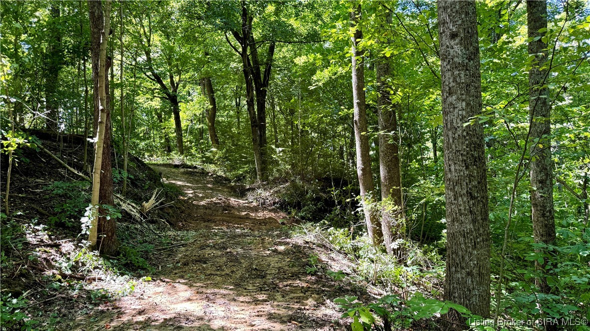 Off West State Road 164 Birdseye, IN 47513 - Photo 24 of 30