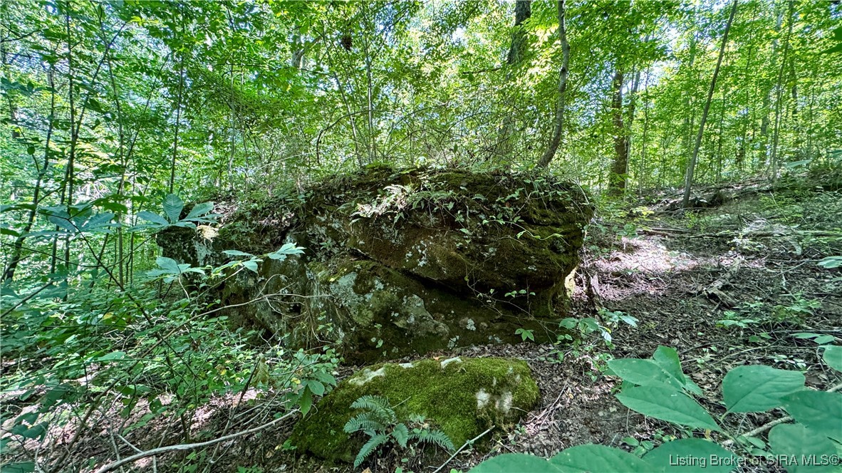 Off West State Road 164 Birdseye, IN 47513 - Photo 25 of 30