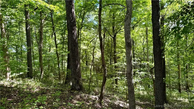 $1,199,000 | Off West State Road 164, Birdseye, IN 47513