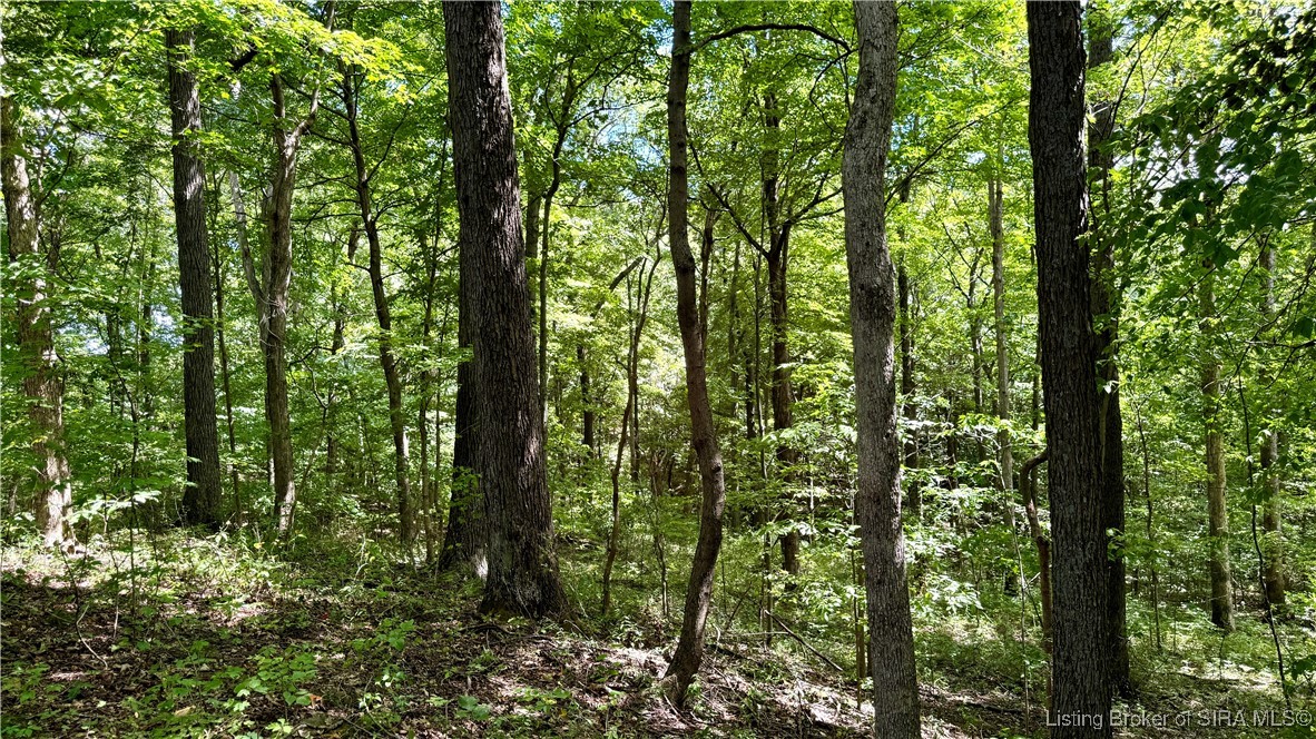 Off West State Road 164 Birdseye, IN 47513 - Photo 28 of 30