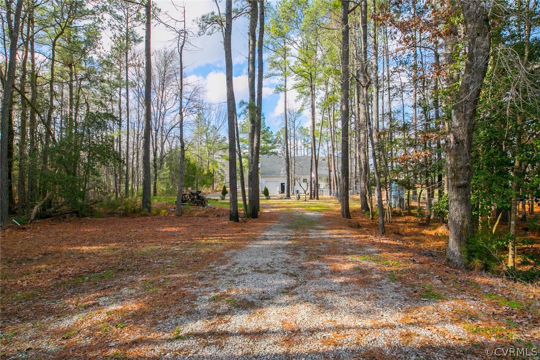11631 Beach Road Chesterfield, VA 23838 - Photo 41 of 49 a view of backyard space and trees