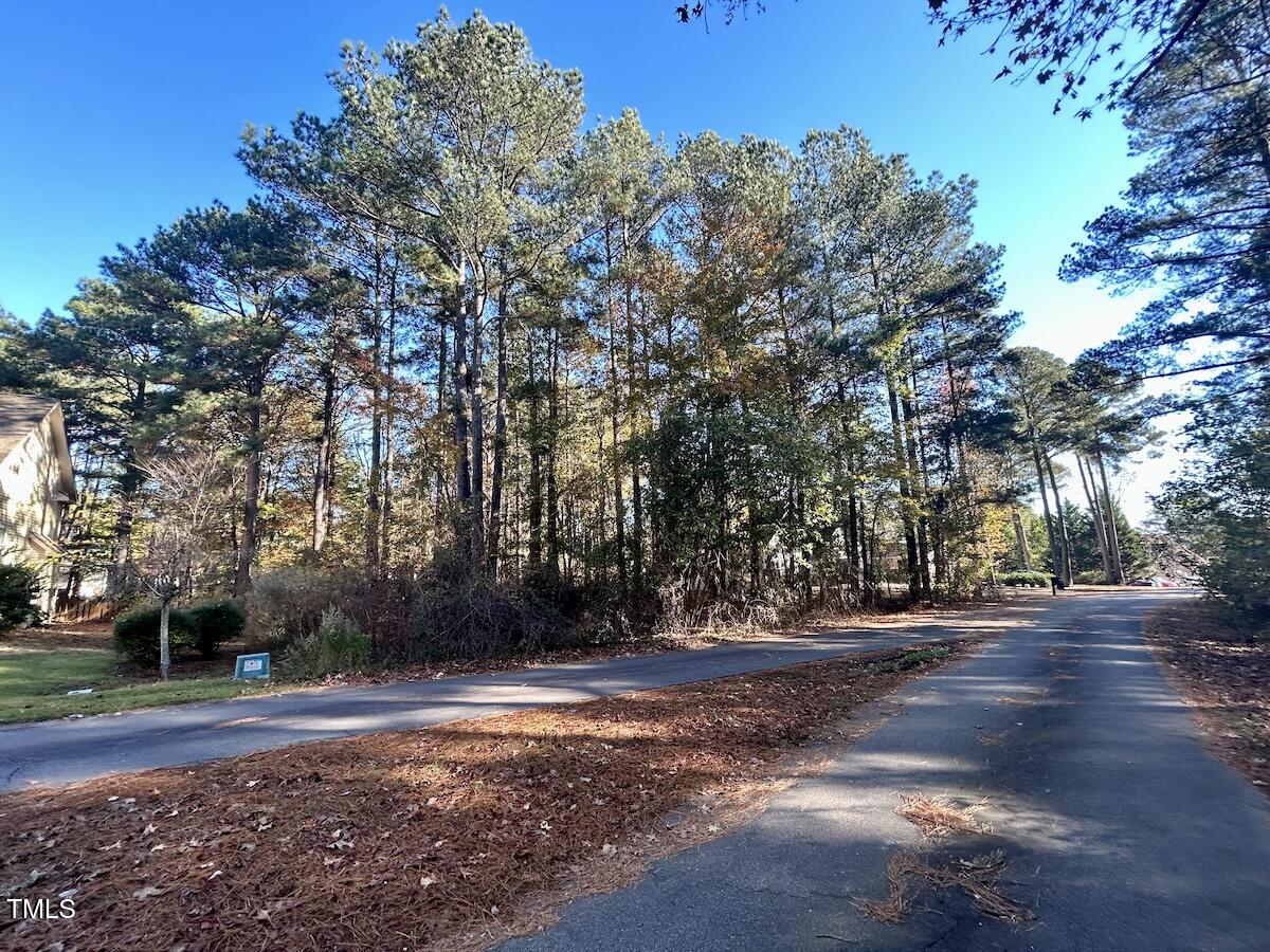 85 Meadow Spring Lane Sanford, NC 27332 - Photo 15 of 23 14-Harnett.39