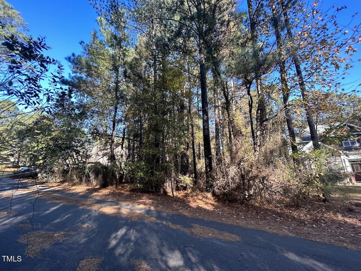 85 Meadow Spring Lane Sanford, NC 27332 - Photo 17 of 23 16-Harnett.39