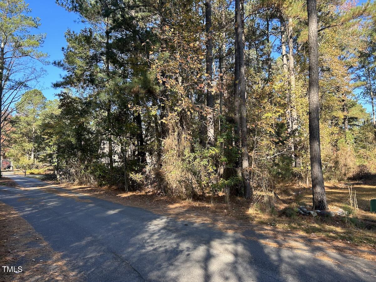 85 Meadow Spring Lane Sanford, NC 27332 - Photo 18 of 23 17-Harnett.39