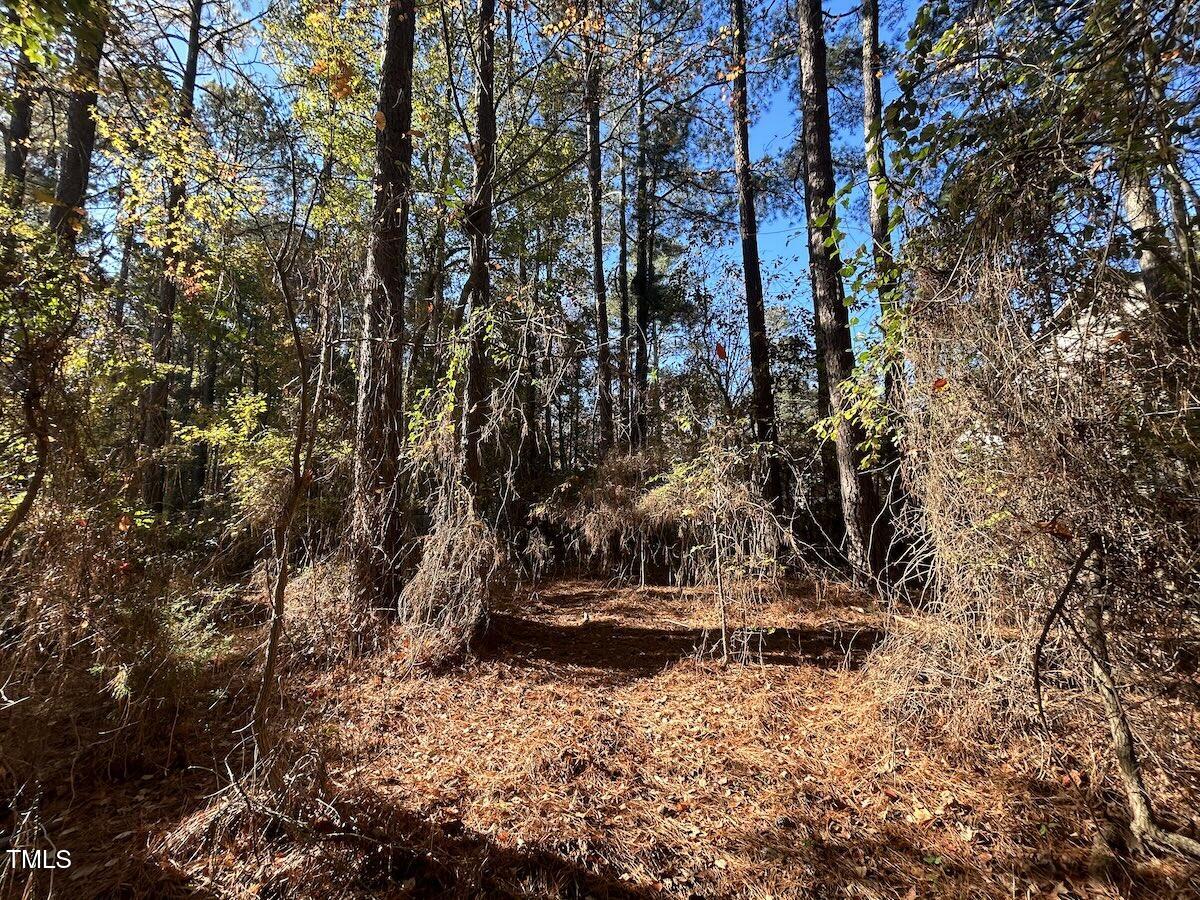 85 Meadow Spring Lane Sanford, NC 27332 - Photo 20 of 23 19-Harnett.39