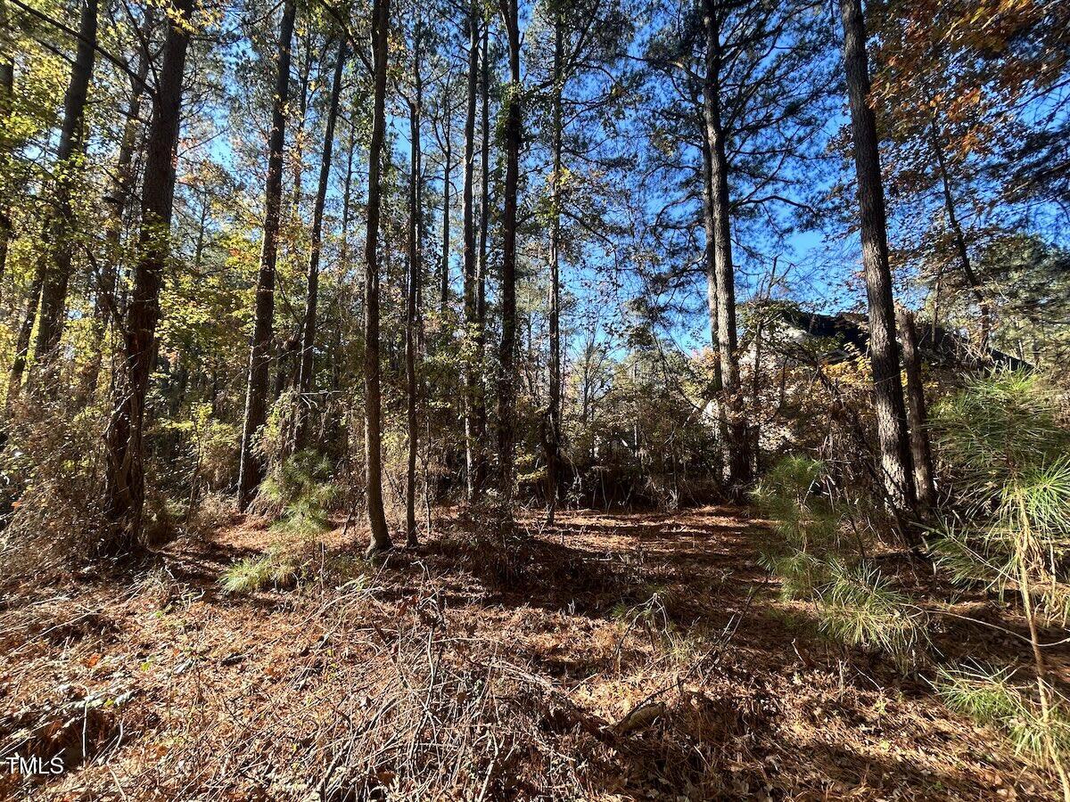 85 Meadow Spring Lane Sanford, NC 27332 - Photo 21 of 23 20-Harnett.39