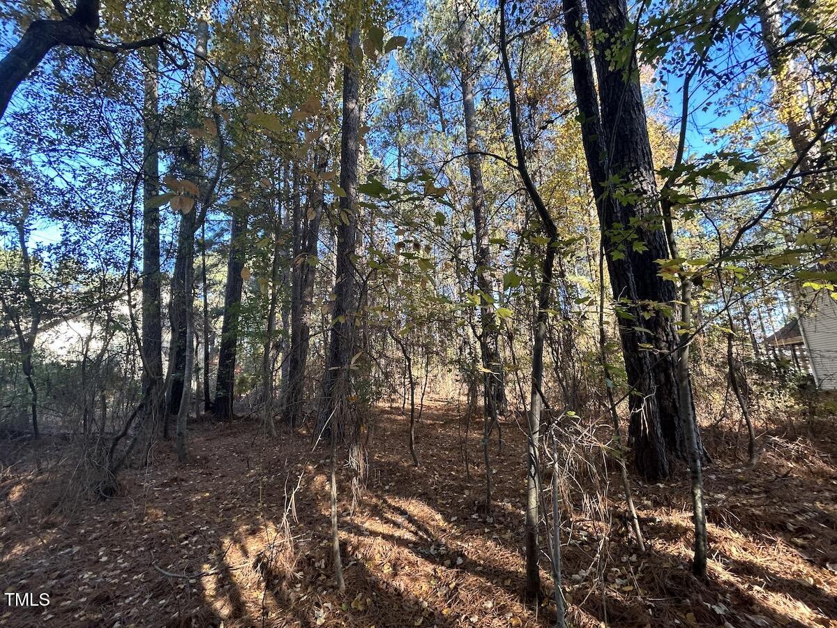 85 Meadow Spring Lane Sanford, NC 27332 - Photo 22 of 23 21-Harnett.39