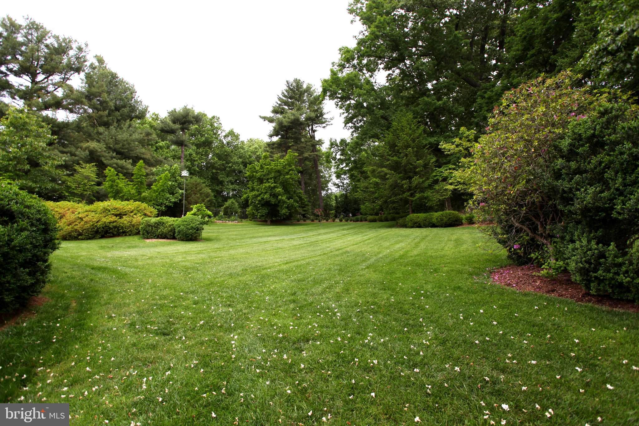 6401 Stallion Road Clifton, VA 20124 - Photo 13 of 67 Spacious Private Backyard Area Surrounded By Trees