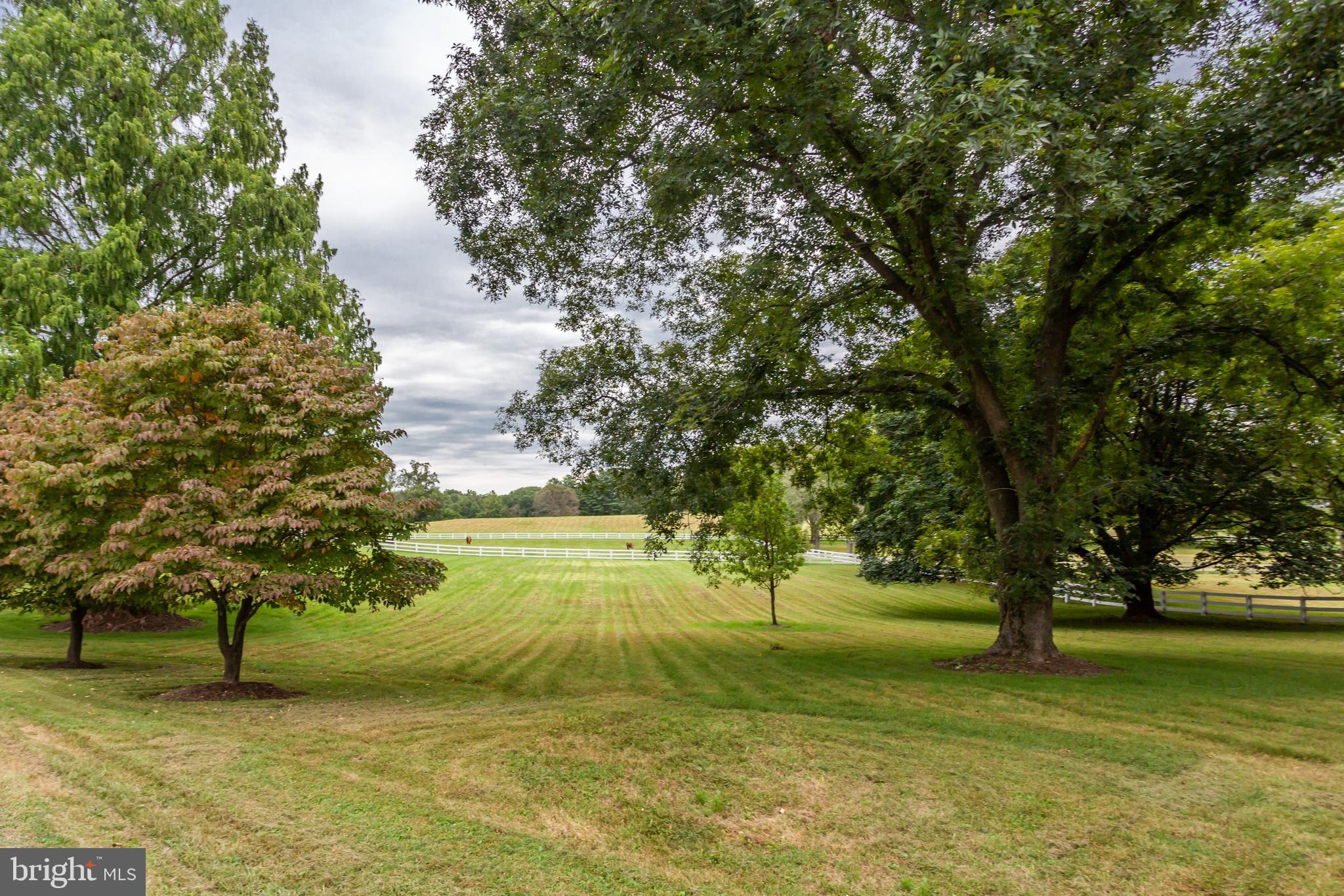 6401 Stallion Road Clifton, VA 20124 - Photo 40 of 67 Mature Hardwood And Fruit Trees