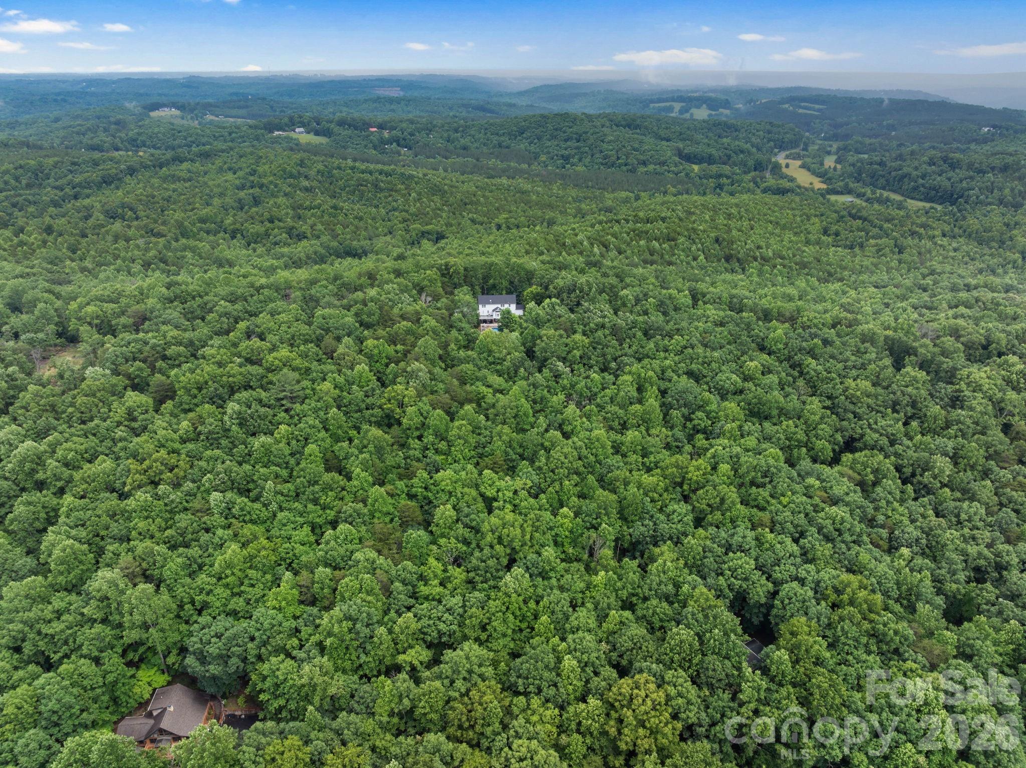295 Wilderness Ridge Rutherfordton, NC 28139 - Photo 45 of 48