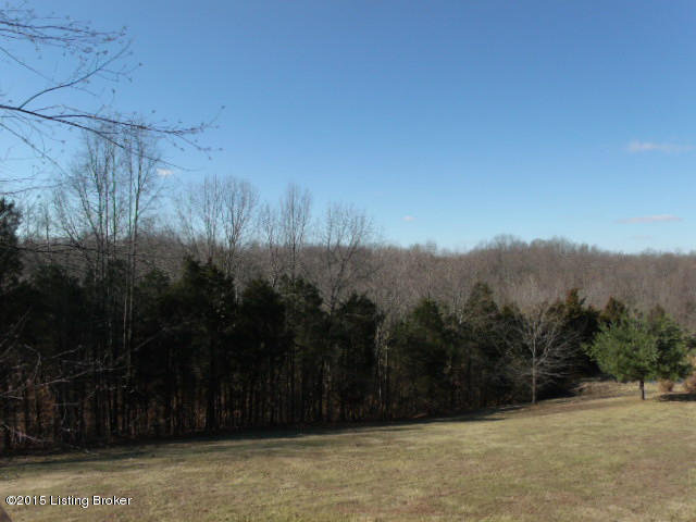 617 Drake Ridge Road Bloomfield, KY 40008 - Photo 25 of 32 617 drake ridge 025