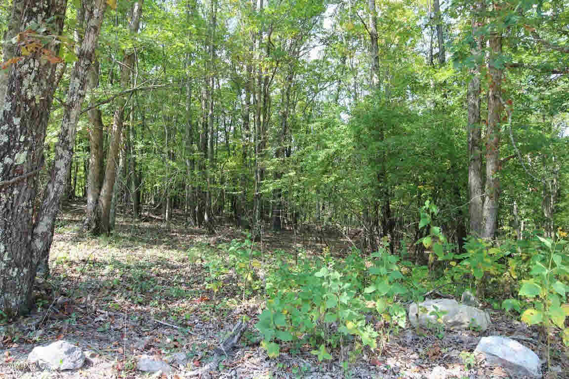 Penvir Road Narrows, VA 24124 - Photo 3 of 3 Gallery Image 3