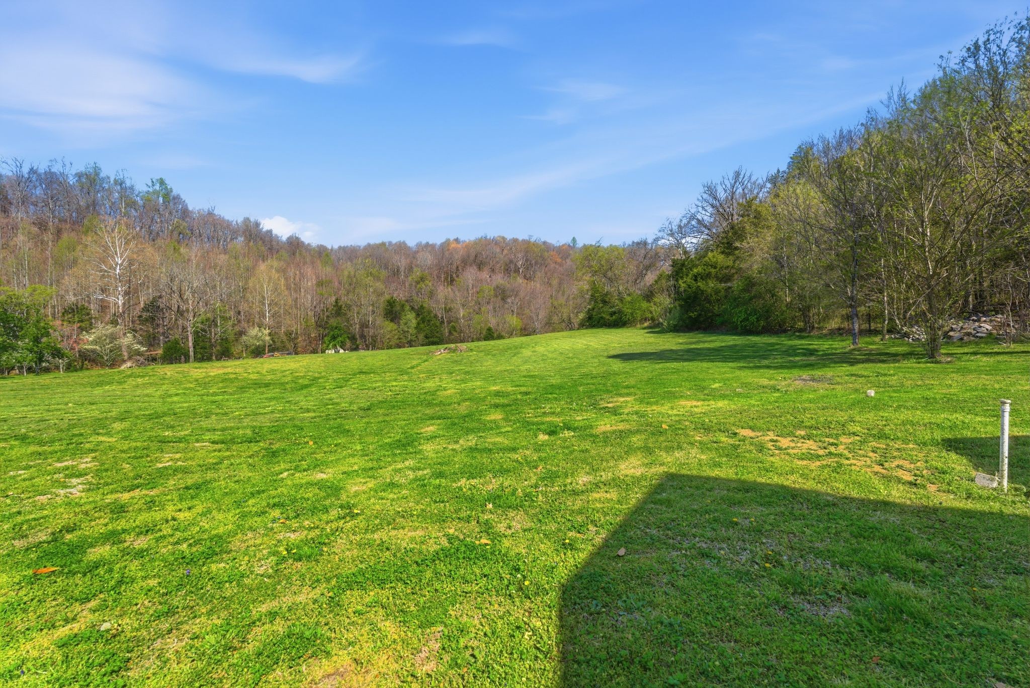 2635 McBrides Branch Road Beechgrove, TN 37018 - Photo 36 of 48 a view of a grassy field with mountain in the background