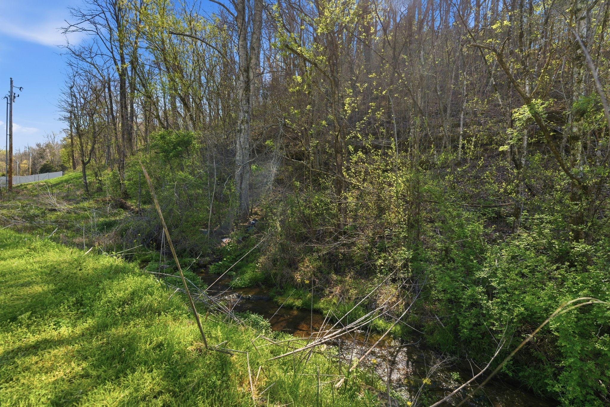 2635 McBrides Branch Road Beechgrove, TN 37018 - Photo 39 of 48 a view of forest