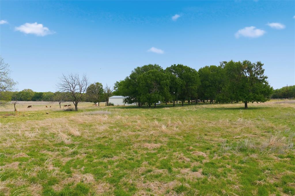 552 West White Oak Road West, TX 76691 - Photo 12 of 16