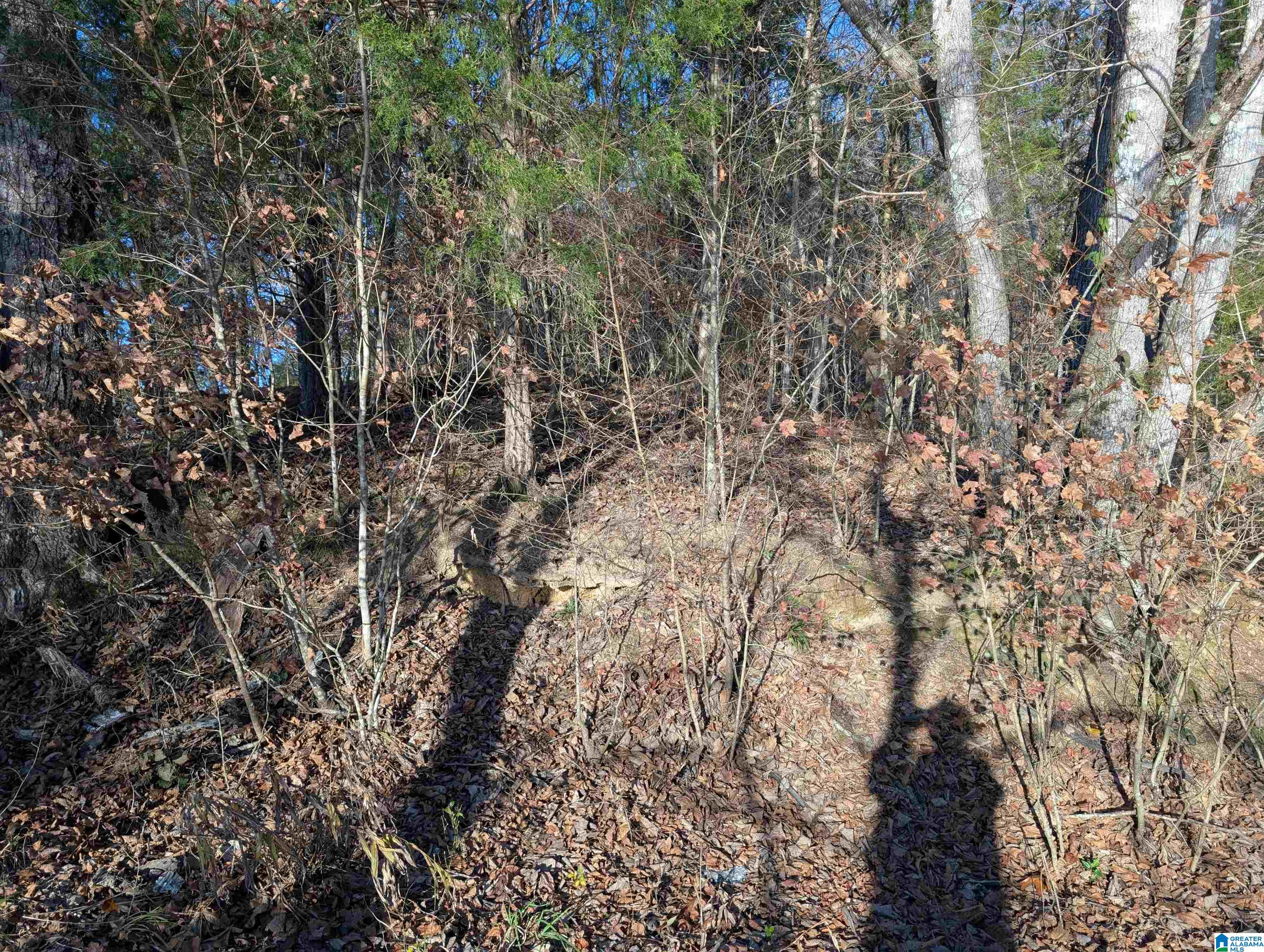 285 Warrior River Highland Road, Unit 2 Adger, AL 35006 - Photo 6 of 7