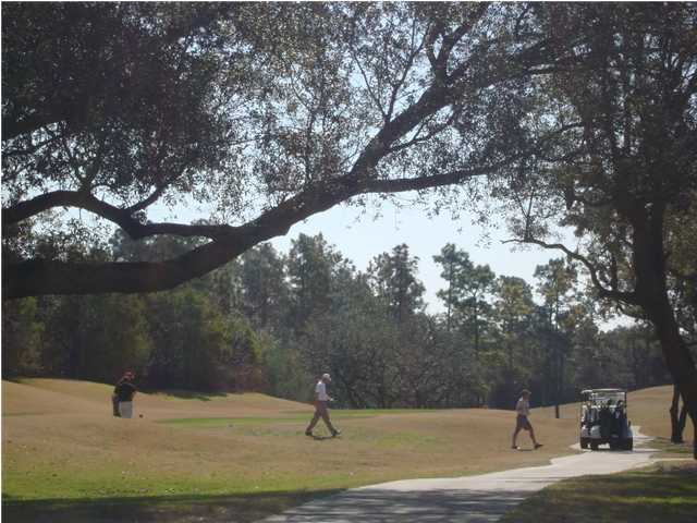 2555 Cove Road Navarre, FL 32566 - Photo 29 of 32
