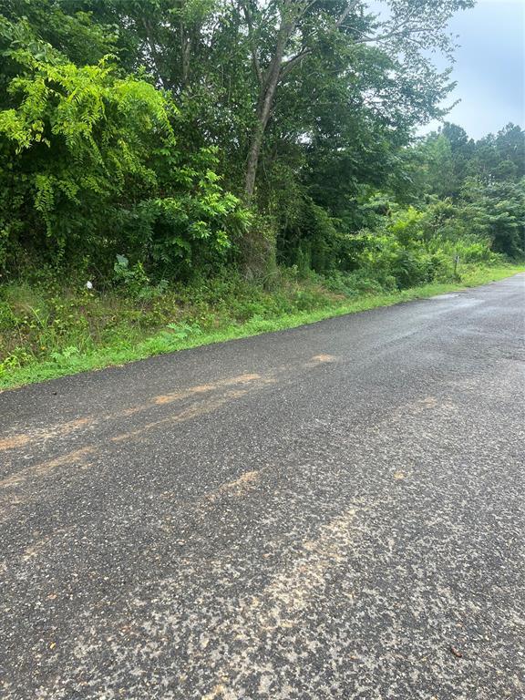 0 Albert Lewis Way Mansfield, LA 71052 - Photo 2 of 7