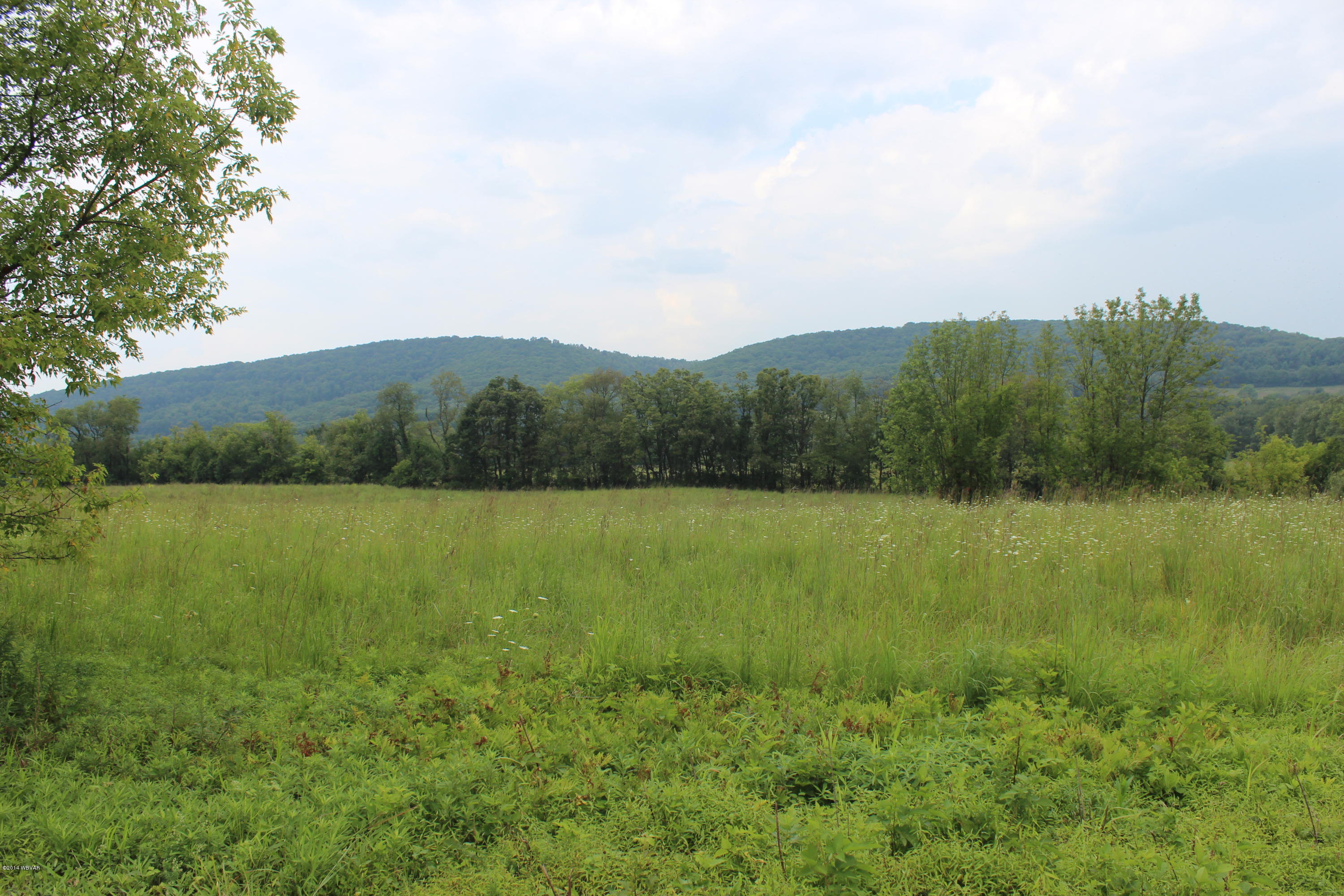 359 Frosty Valley Road Danville, PA 17821 - Photo 1 of 1 looking north