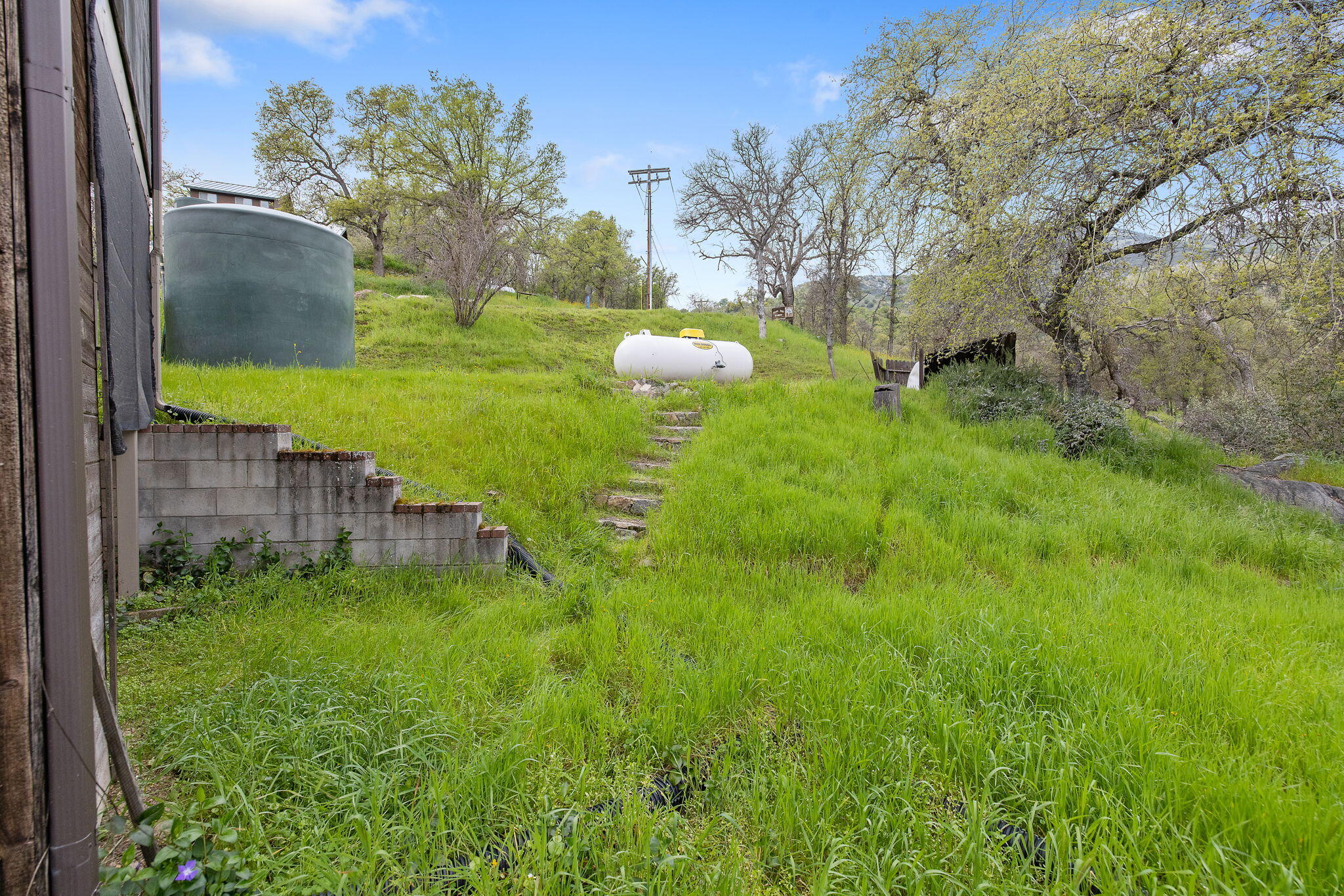 43677 Washburn Drive Three Rivers, CA 93271 - Photo 61 of 80 66-web-or-mls-713A9626