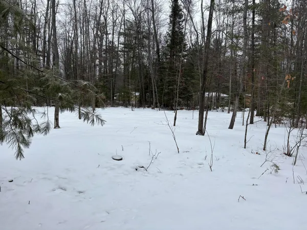 $15,000 | River Drive, Atlanta, MI 49709