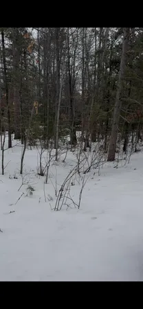 $15,000 | River Drive, Atlanta, MI 49709