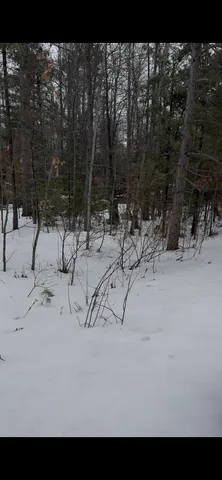 $15,000 | River Drive, Atlanta, MI 49709