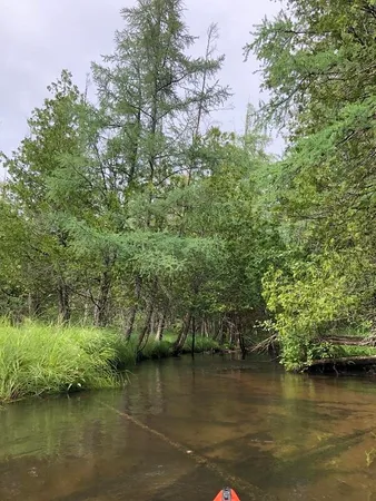 $15,000 | River Drive, Atlanta, MI 49709