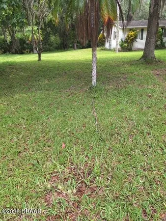 a view of a garden with a tree