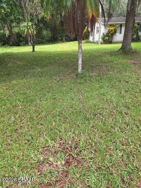 3091 Log Cabin Lane Edgewater, FL 32132 - Photo 21 of 28 a view of a garden with a tree