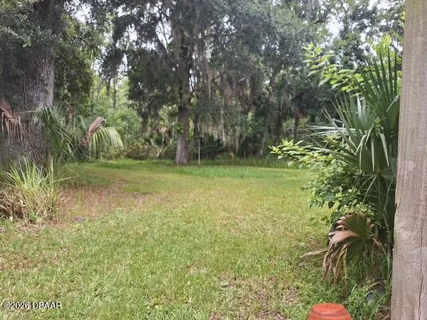 a big yard with lots of green space and trees