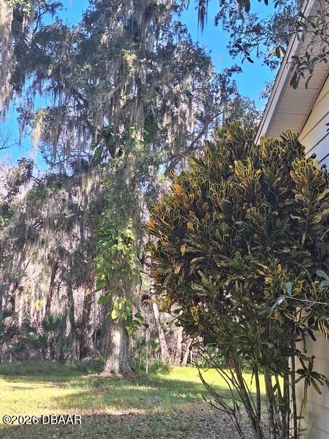 3091 Log Cabin Lane Edgewater, FL 32132 - Photo 8 of 28 a view of a yard with large trees