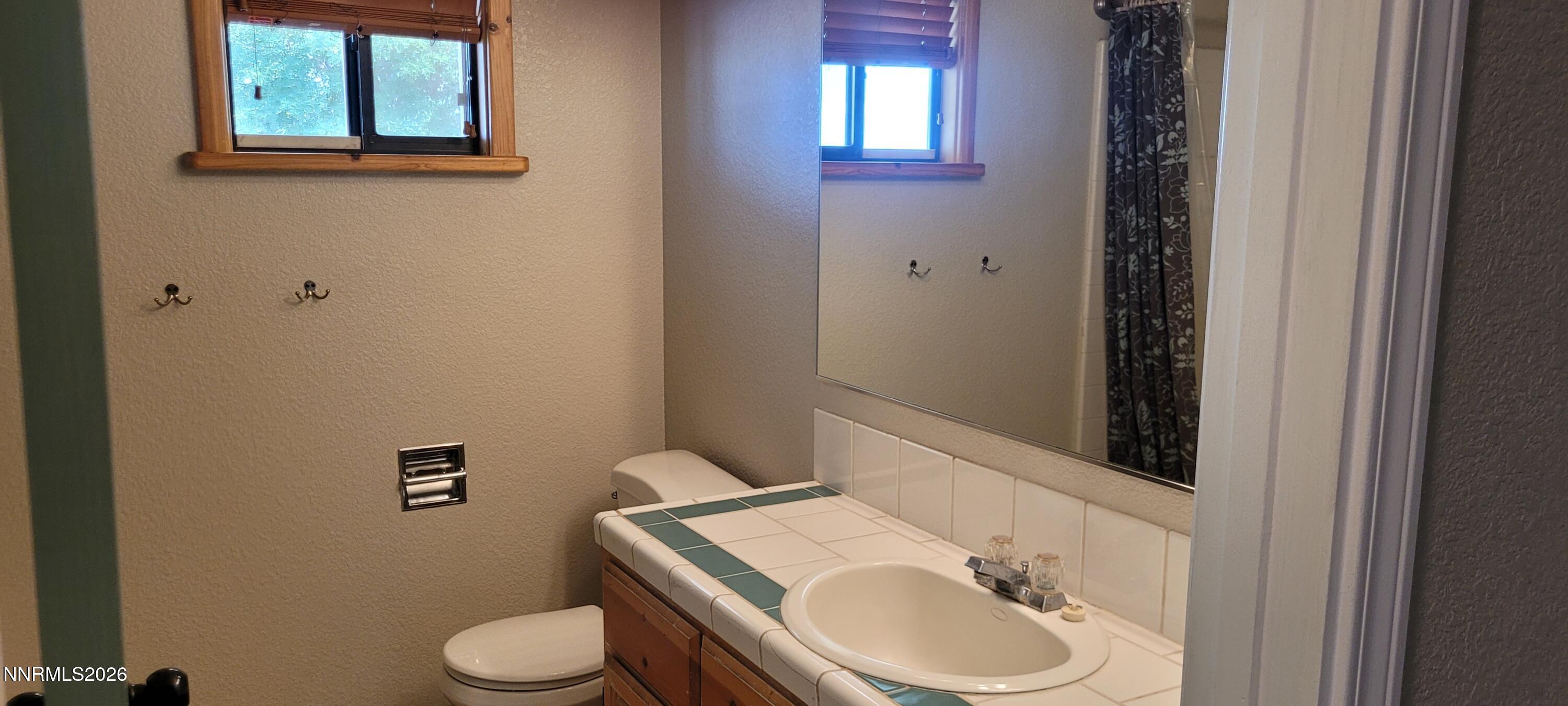 11 Lower Colony Road Wellington, NV 89444 - Photo 12 of 46 guest bath