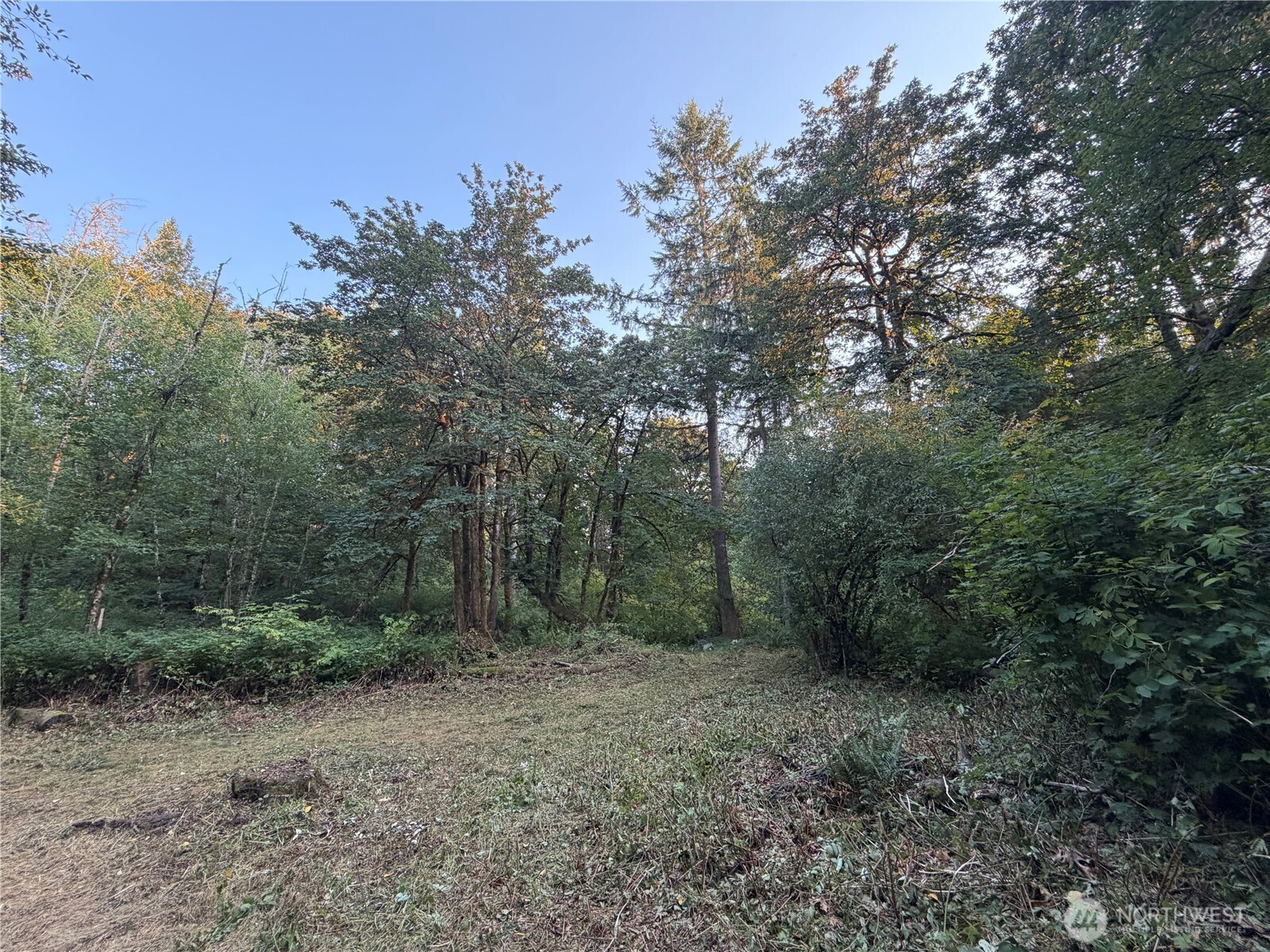 19009 51st Avenue Southeast Bothell, WA 98012 - Photo 10 of 40 Gallery Image 10
