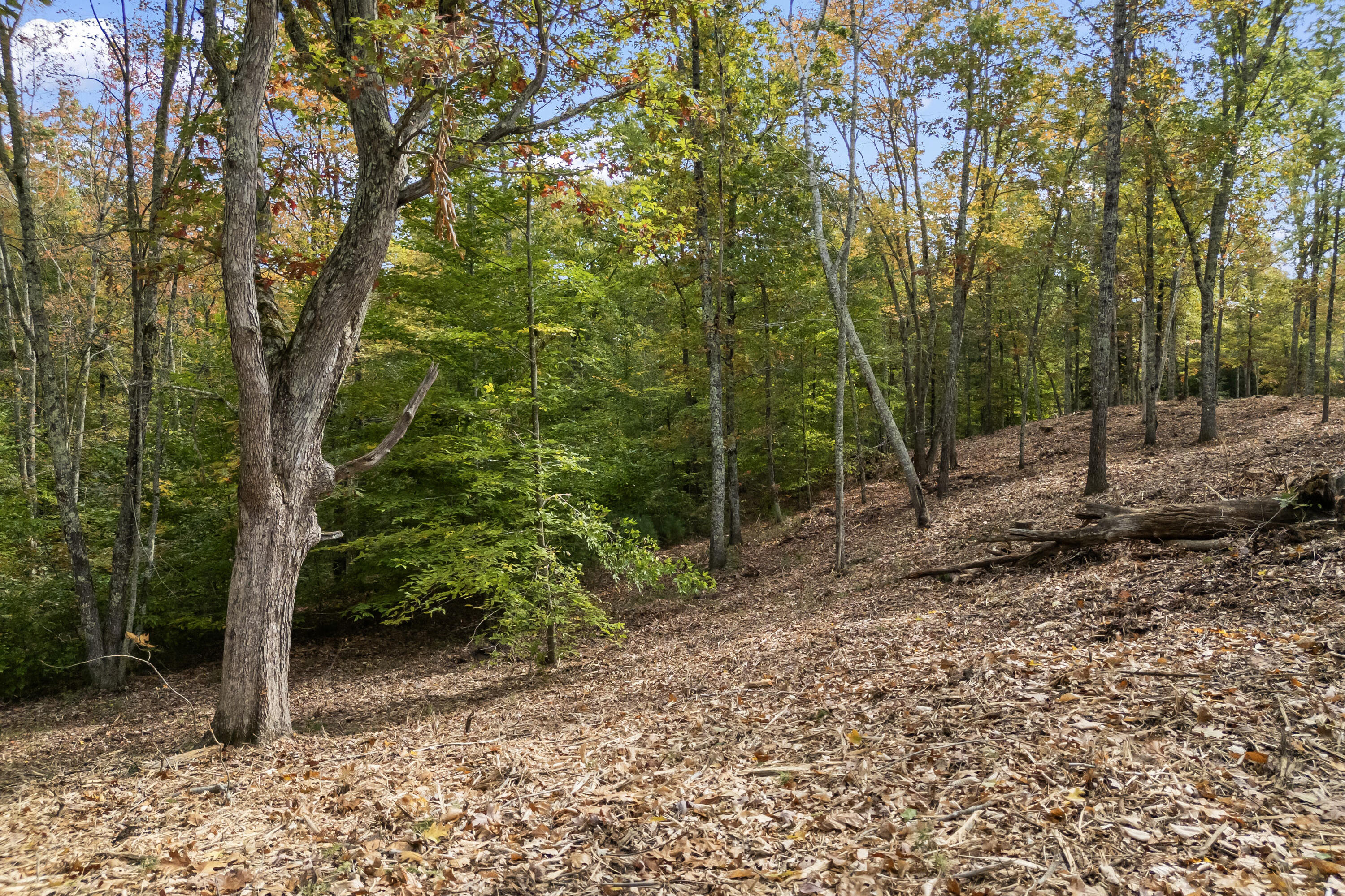 Tbd Tbd Ridge Terrace, Unit LOT 2 North Berwick, ME 03906 - Photo 7 of 14 TBD Ridge Terrace, Lot 2, North Berwick