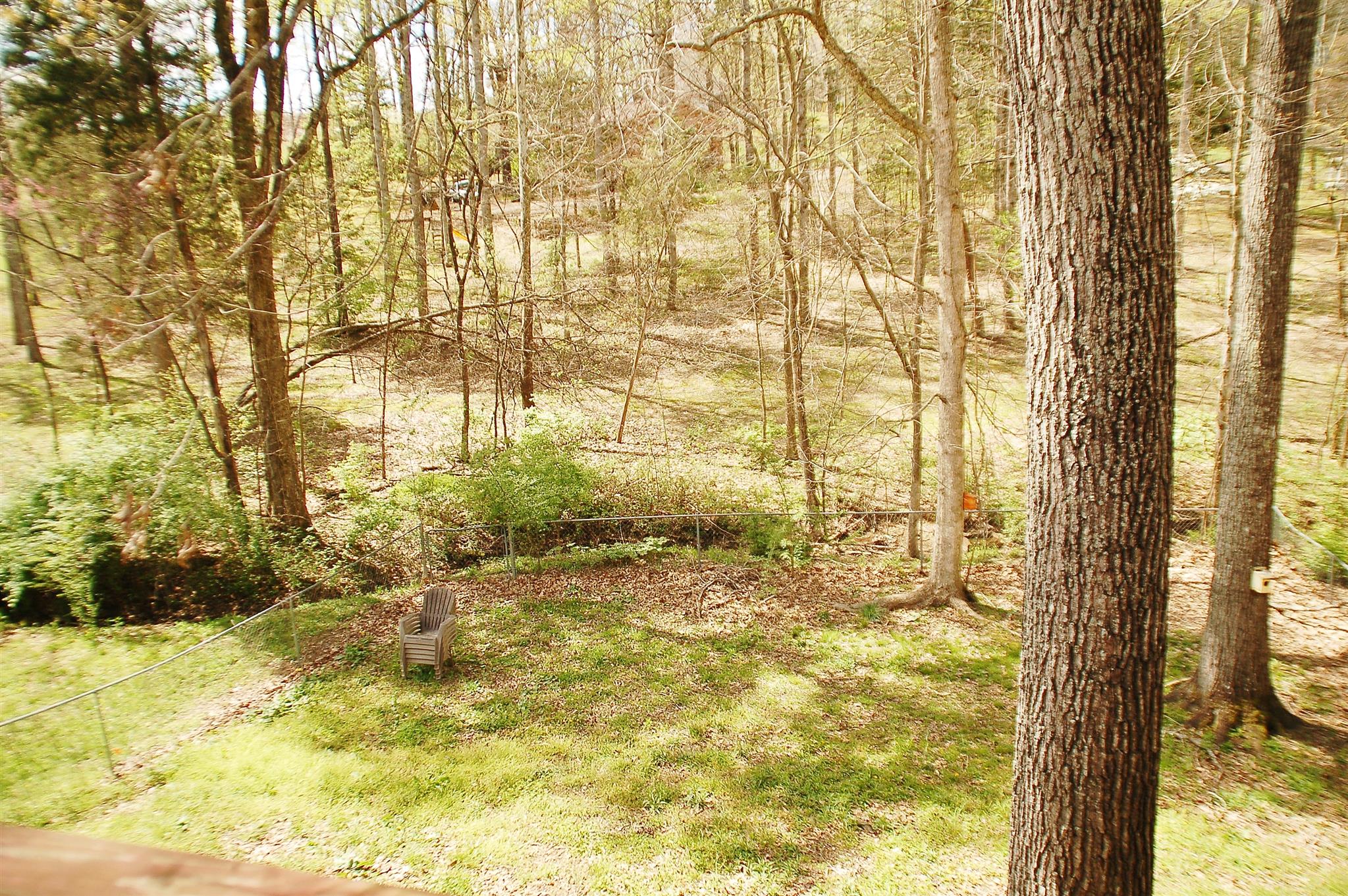7112 Totty Road Fairview, TN 37062 - Photo 14 of 14 a view of yard from window