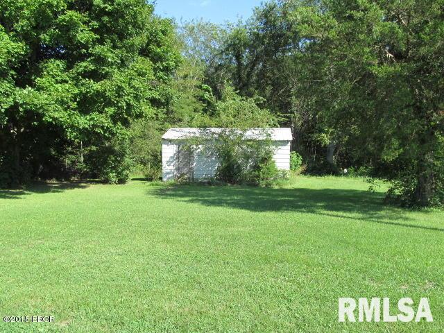 0 Omega Road Iuka, IL 62849 - Photo 4 of 9