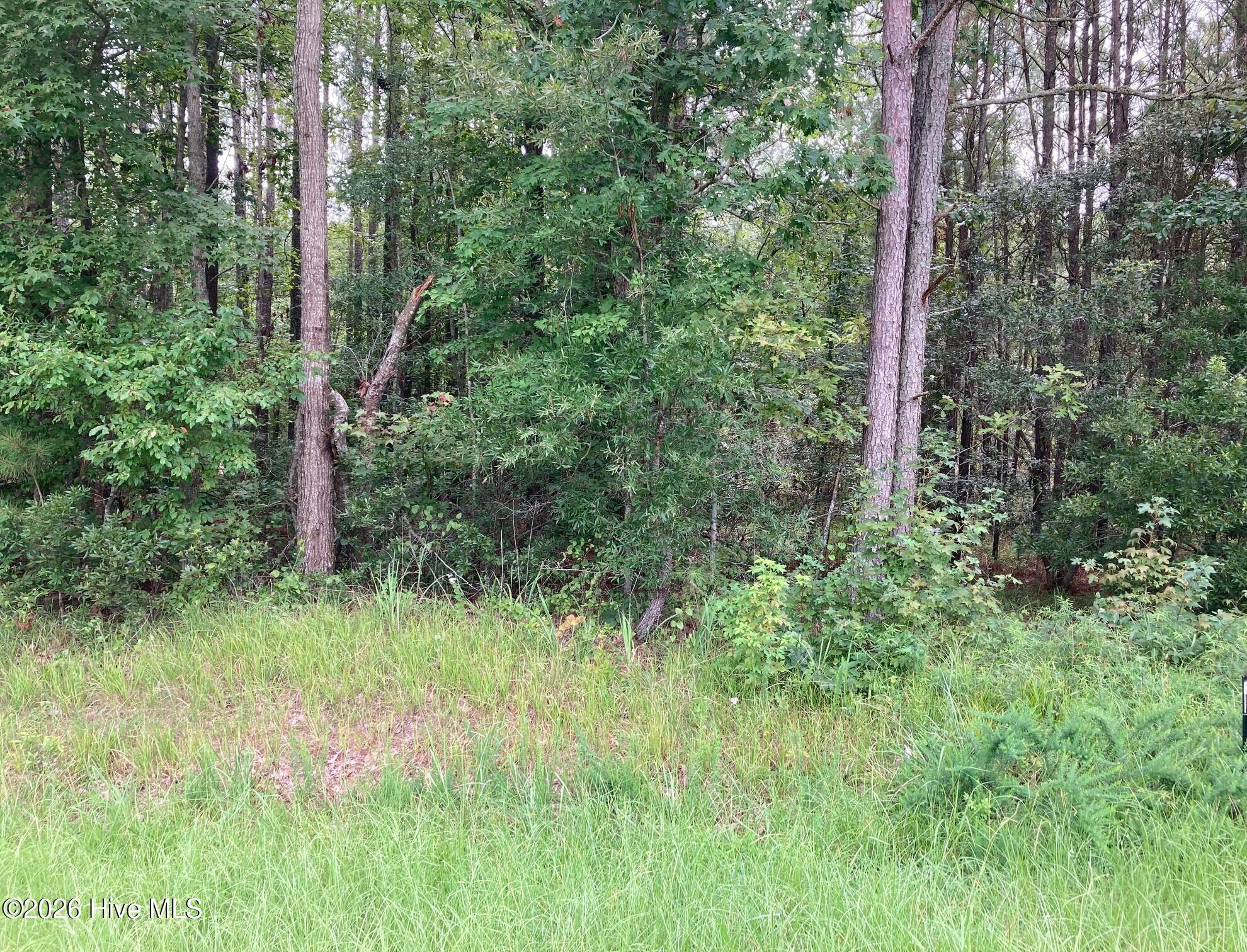 Lot # 33 Pine Crest Road Bath, NC 27808 - Photo 2 of 7 Gallery Image 2