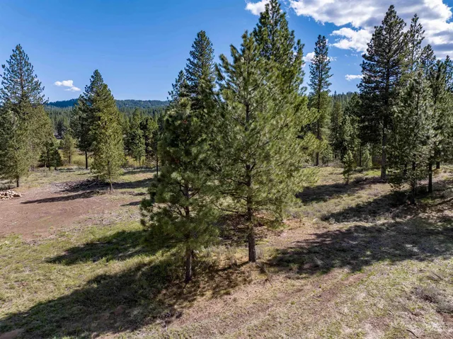 $195,000 | Lot 5 Star Creek, Idaho City, ID 83631