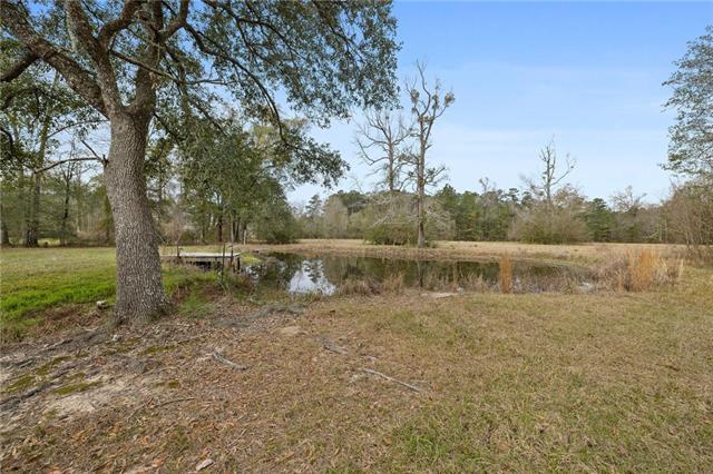 29417 Mary Kinchen Road Independence, LA 70443 - Photo 43 of 48
