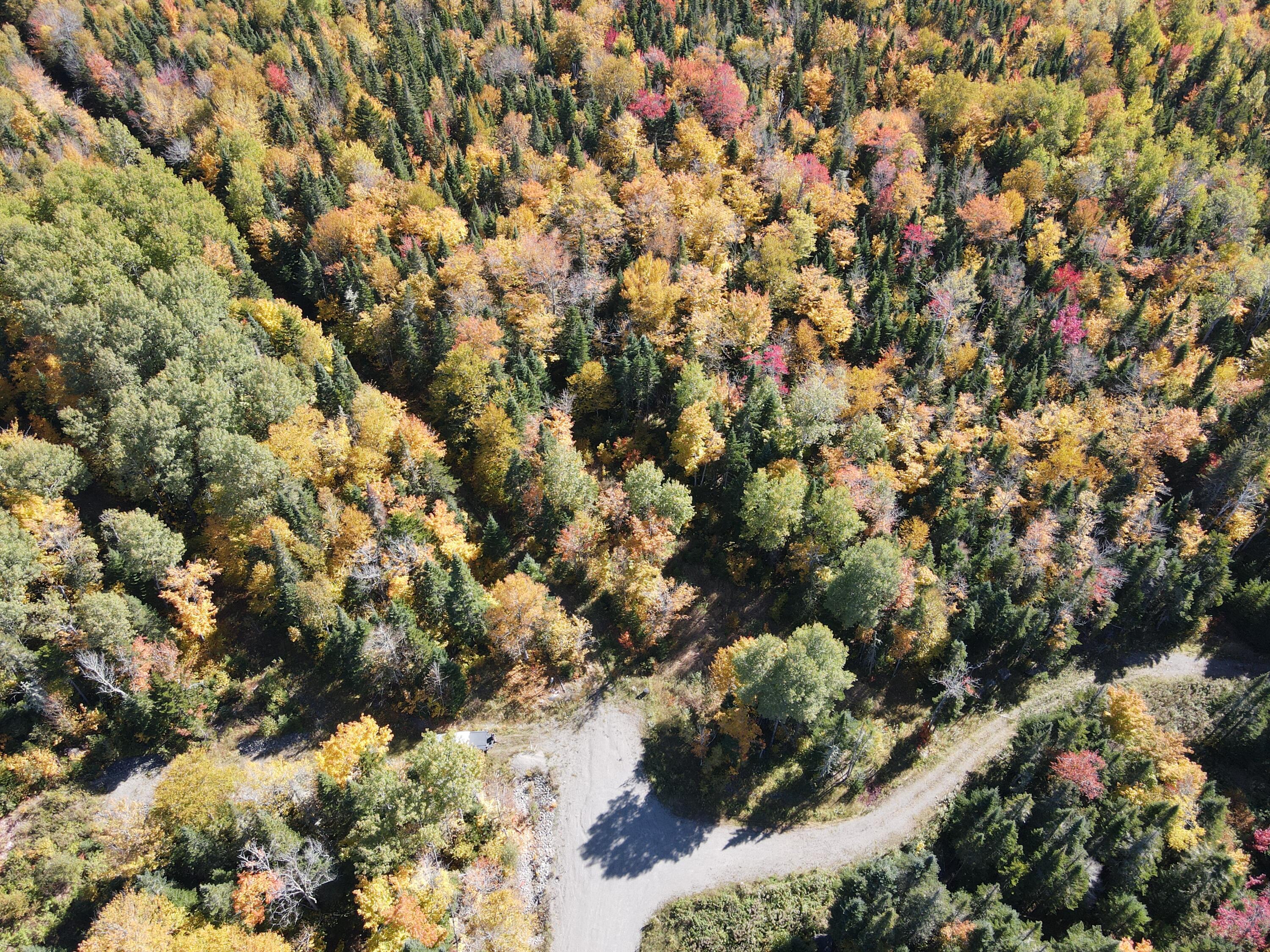 Lot 7 Mill Brook Road Sandy River Plt, ME 04970 - Photo 9 of 11 DJI_0068
