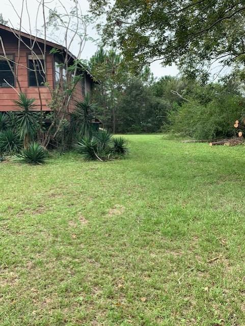 1591 Secessionville Road Charleston, SC 29412 - Photo 1 of 7 yard 2 secessionville