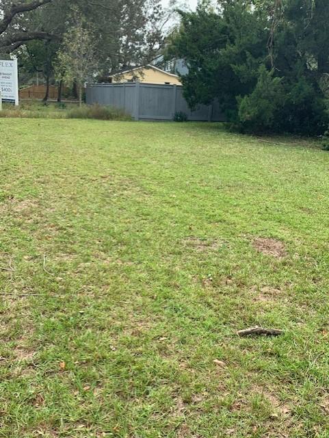 1591 Secessionville Road Charleston, SC 29412 - Photo 4 of 7 yard 1 secessionville
