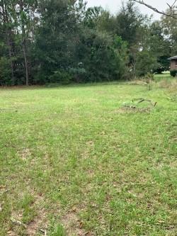 1591 Secessionville Road Charleston, SC 29412 - Photo 5 of 7 yard 3 secessionville