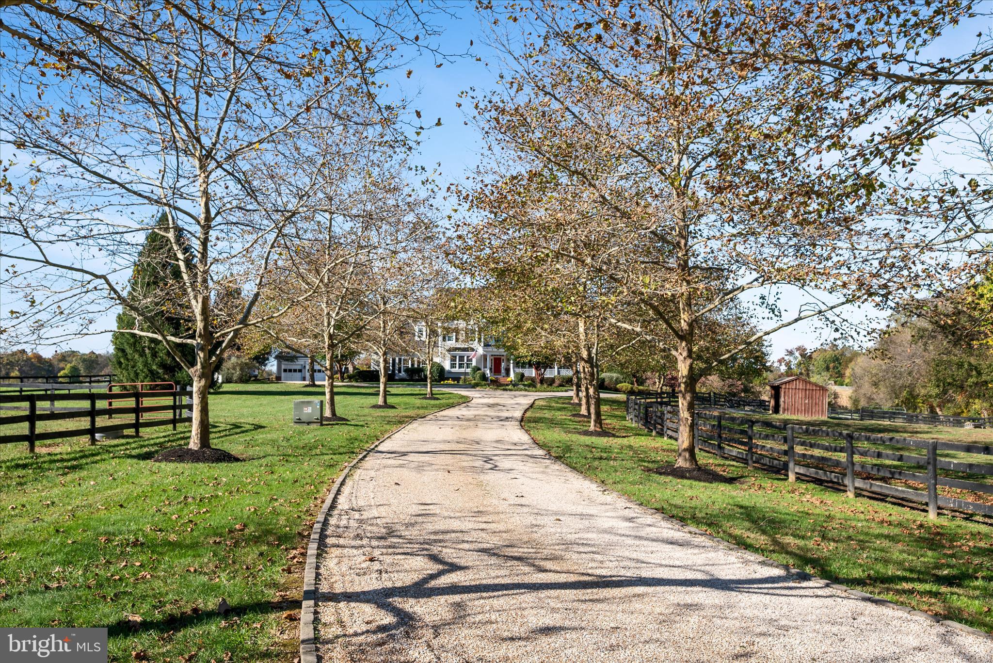 17635 Harmony Church Road Hamilton, VA 20158 - Photo 17 of 104 Driveway tree line entrance to the home.