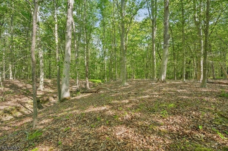 0 Homestead Road Gillette, NJ 07933 - Photo 10 of 26