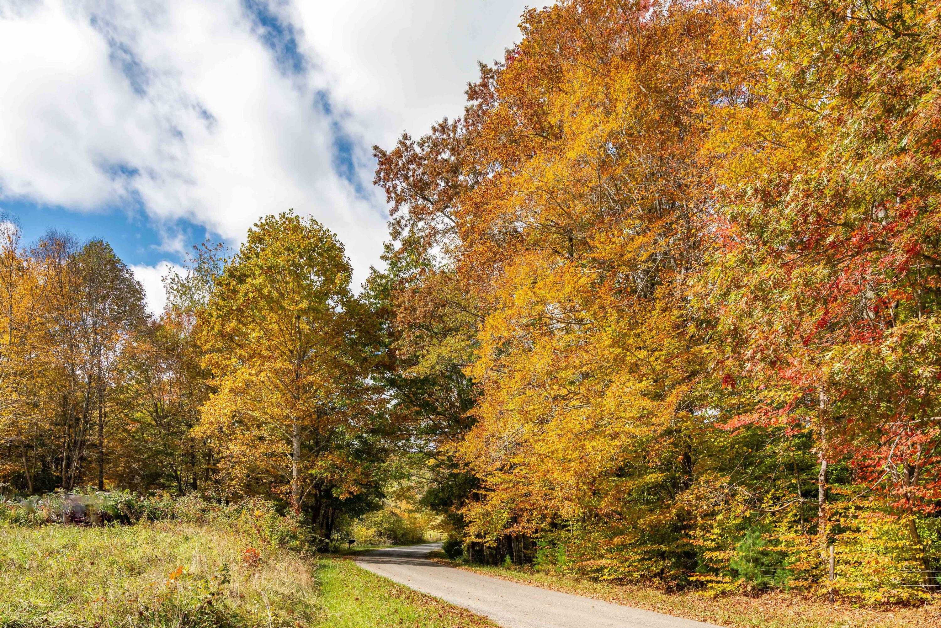 2307 Rush Fork Road Southwest Floyd, VA 24091 - Photo 26 of 31 a view of a yard