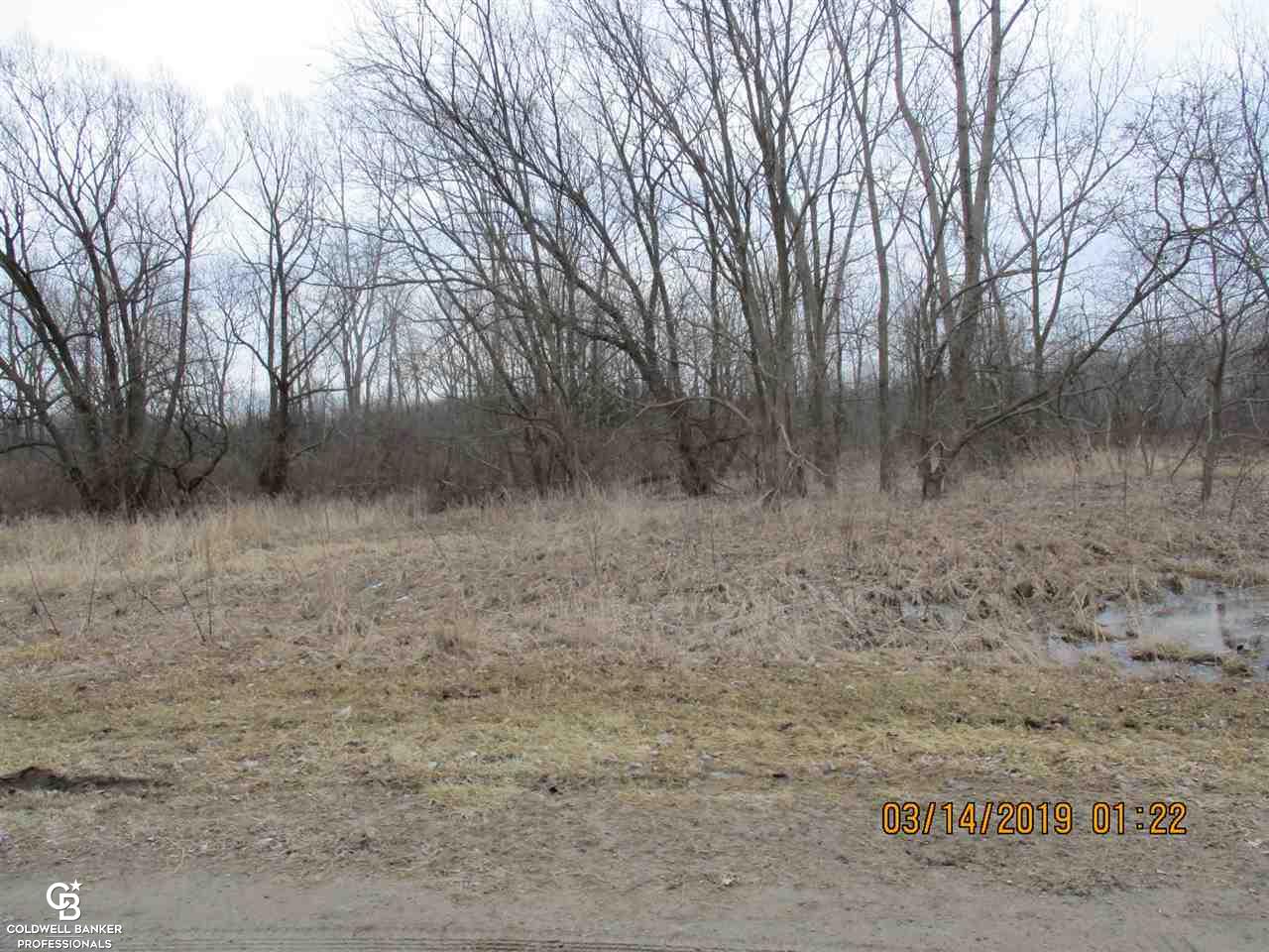 0 Armada Ridge Parcel 6 Road Richmond, MI 48062 - Photo 7 of 10