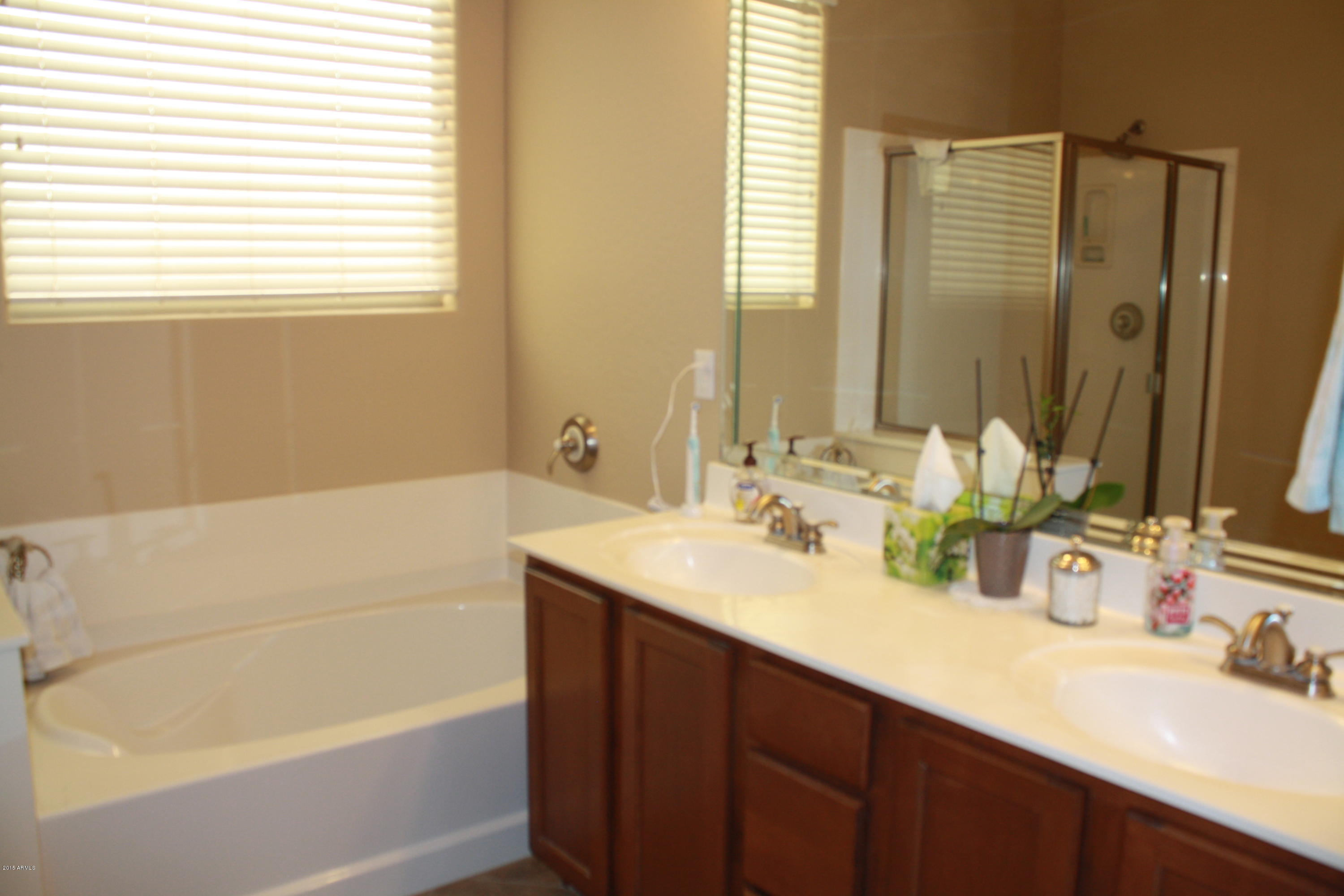 46100 West Ranch Road Maricopa, AZ 85139 - Photo 11 of 20 Master bath