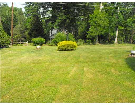 552 Weaver Mill Road Rector, PA 15677 - Photo 5 of 11 View. Plenty of room for kids and dogs to run and play!